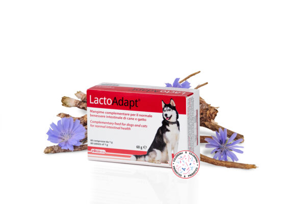 LactoAdapt® 60