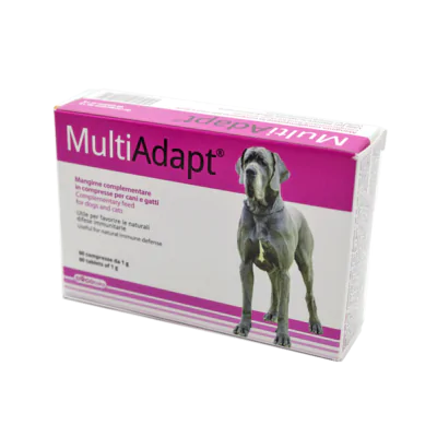 Multiadapt