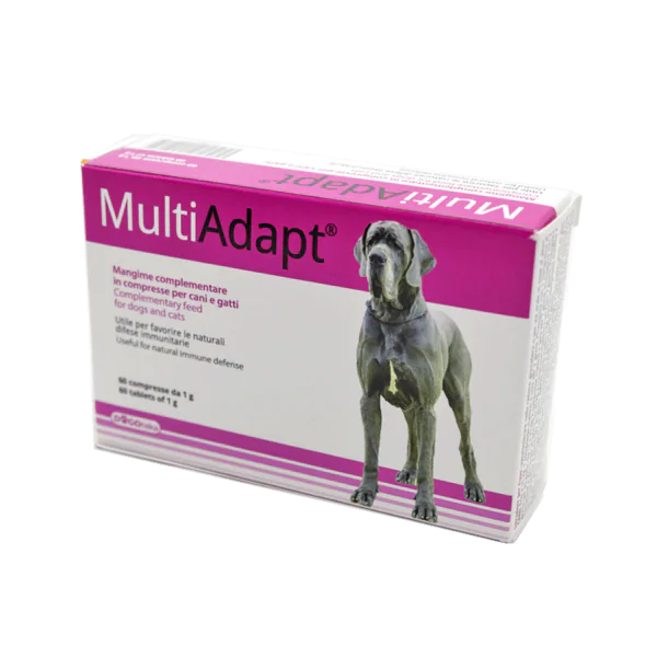 Multiadapt