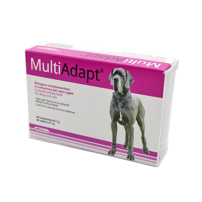 Multiadapt